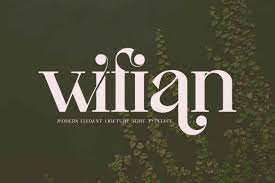 Wifian Font preview